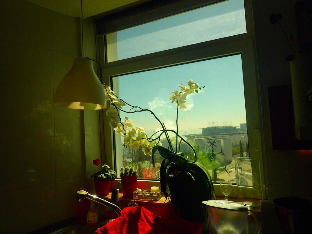 ליסבון Lxriverside Suite Apartment מראה חיצוני תמונה